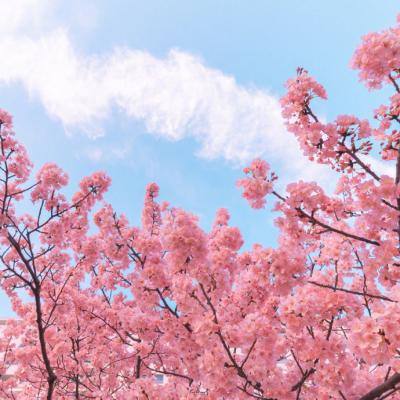 九游烈焰无双手游下载