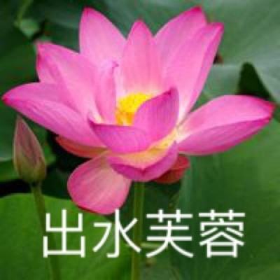 婚礼冰雪女王游戏下载