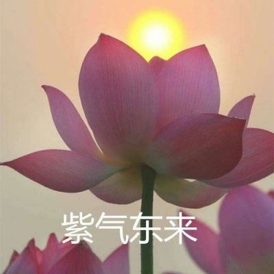 王者蜀汉游戏
